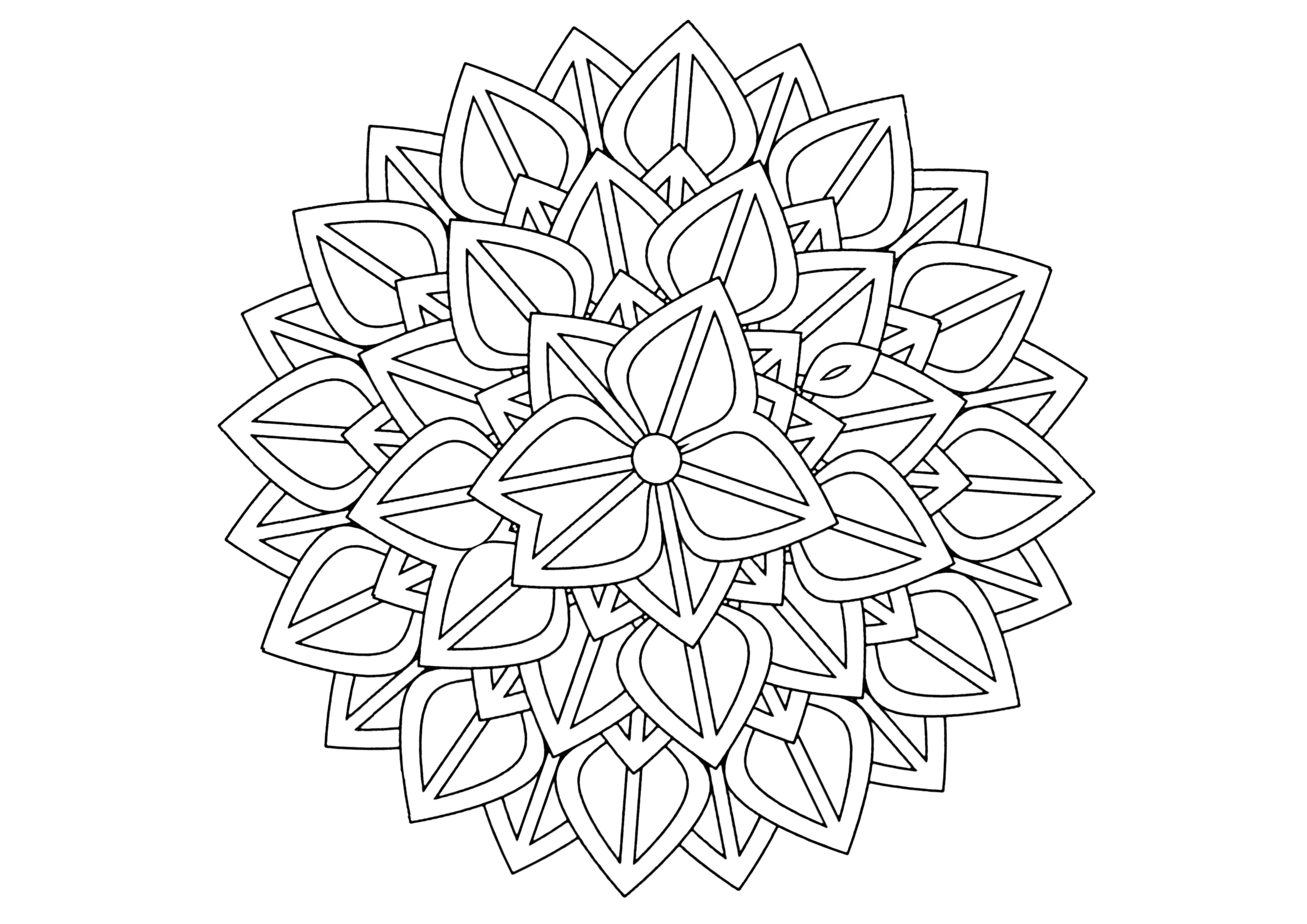 Mandala com pétalas grandes (Página para colorir e imprimir para adultos)