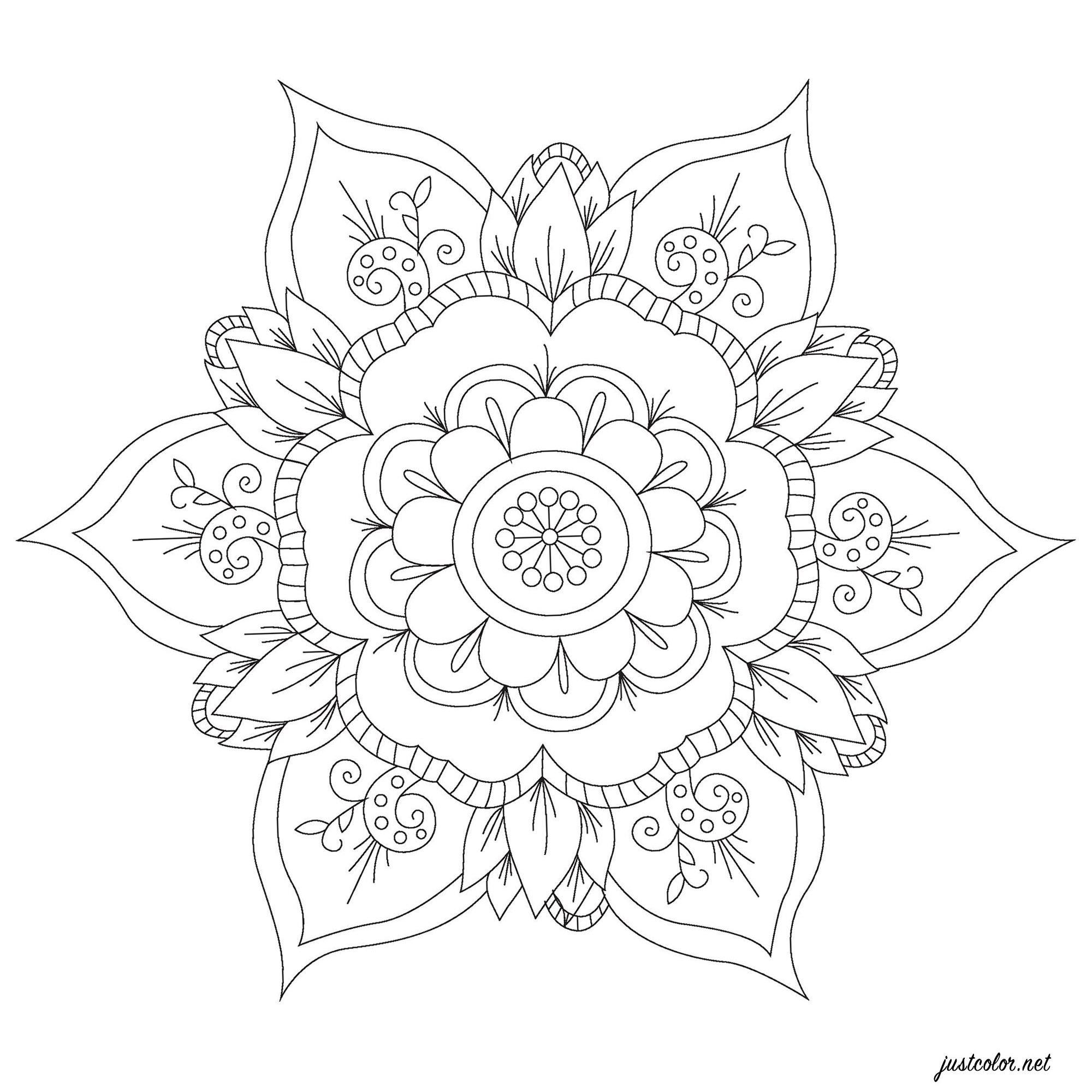 Mandala simples e gira com flores, pétalas e folhas harmoniosamente distribuídas, Artista : Pierre C