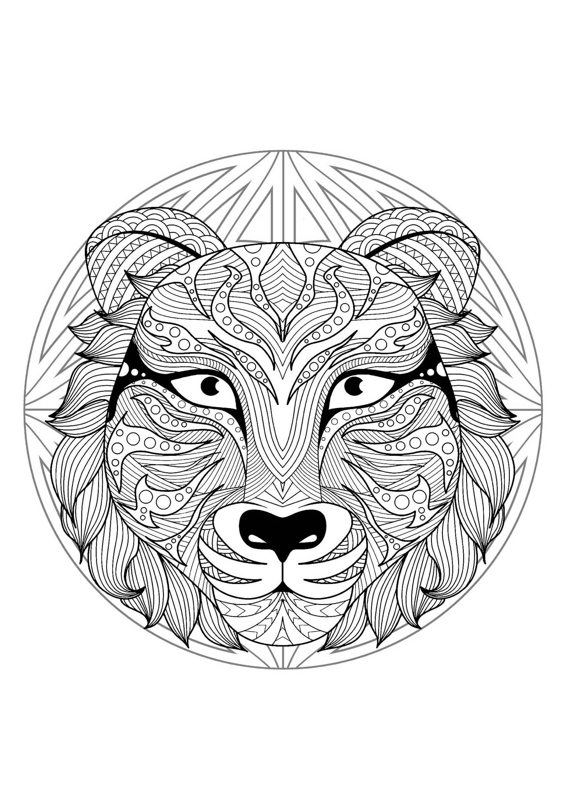 Mandala para colorir com uma cabeça de tigre muito especial e padrões simples no fundo