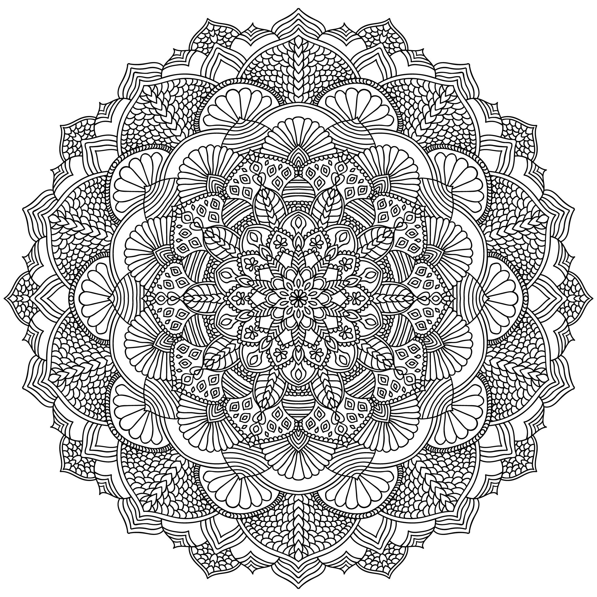Mandala preta intrincada para colorir. Mandala de linhas isolada num fundo branco, Fonte : 123rf   Artista : amovitania