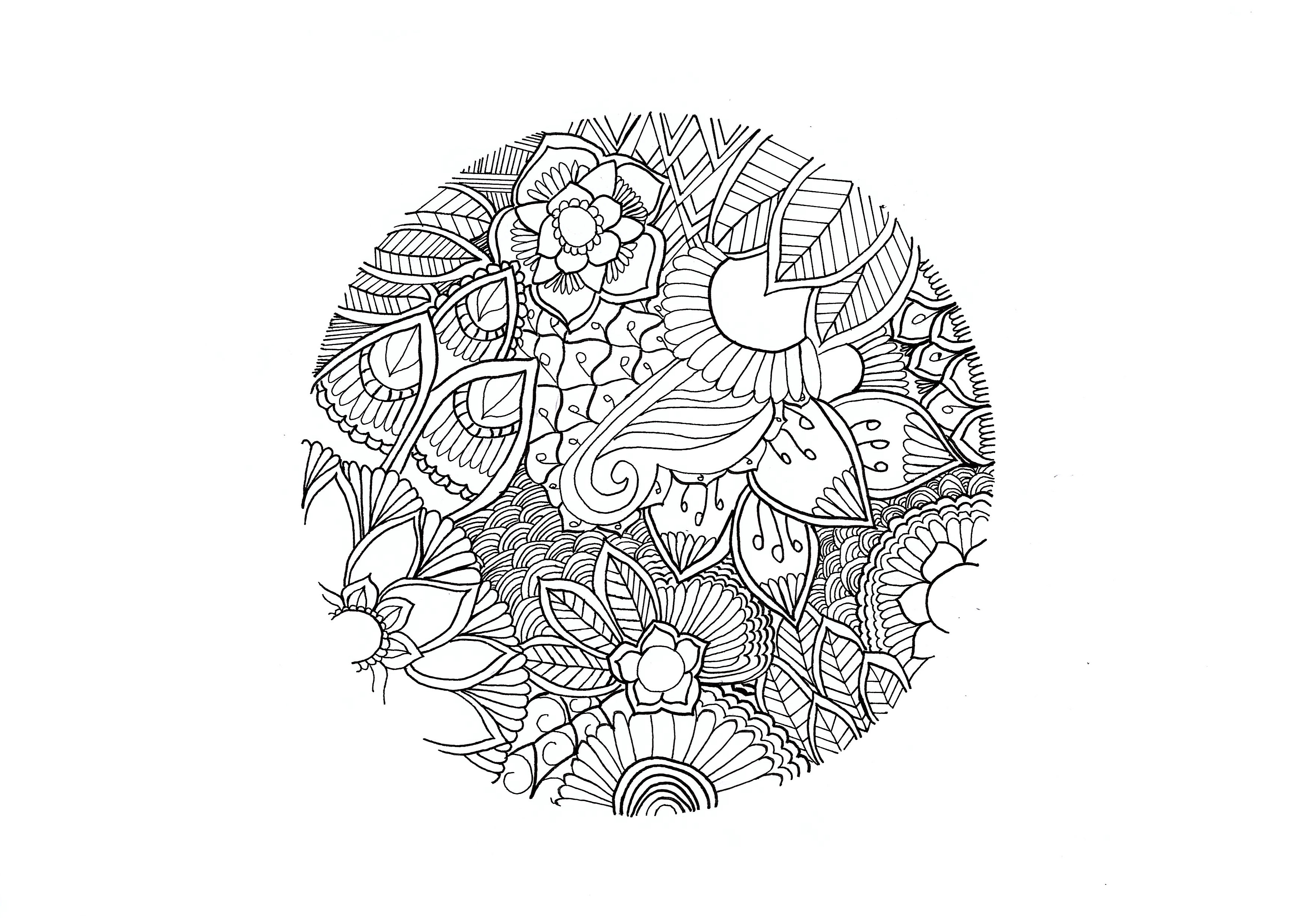 Mandala para colorir sobre o tema da natureza. Flores e folhas bonitas para colorir, Artista : Chloe