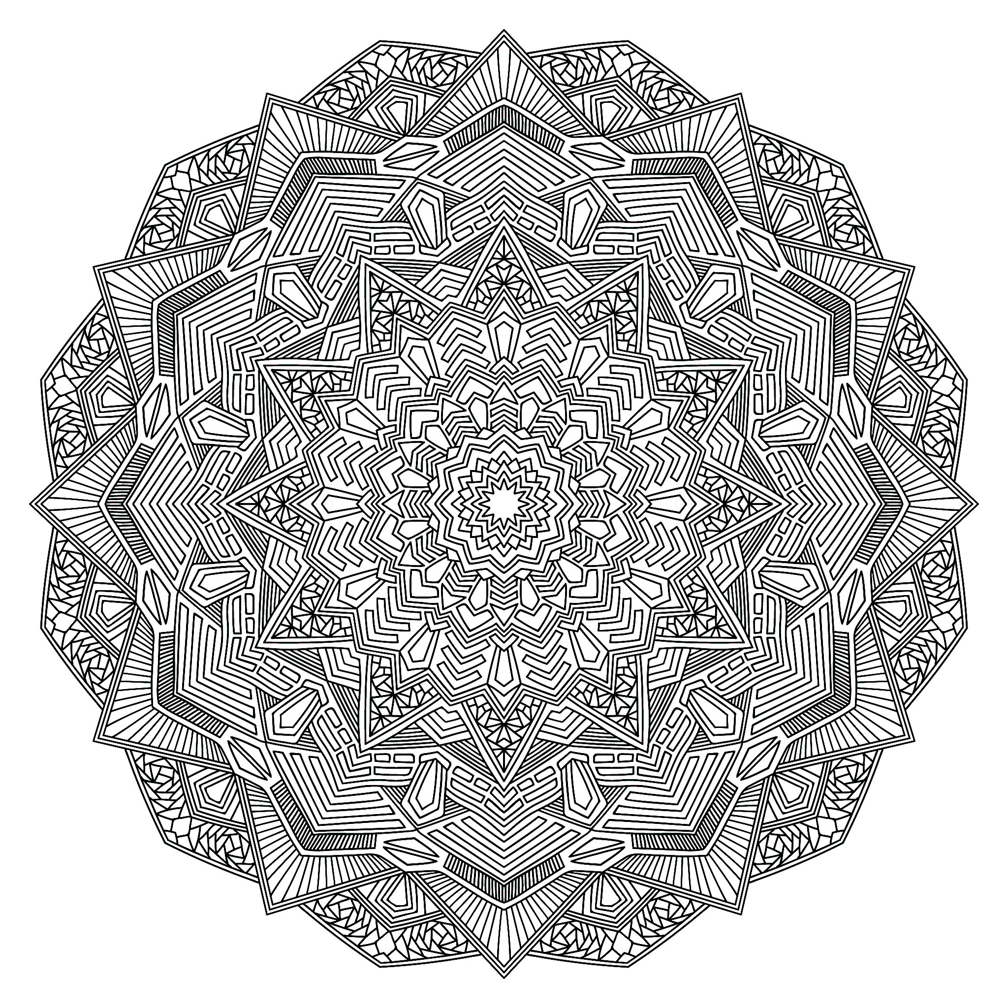 Esboço de mandala floral (Página para colorir) Esboço de mandala floral (Página para colorir e imprimir para adultos)