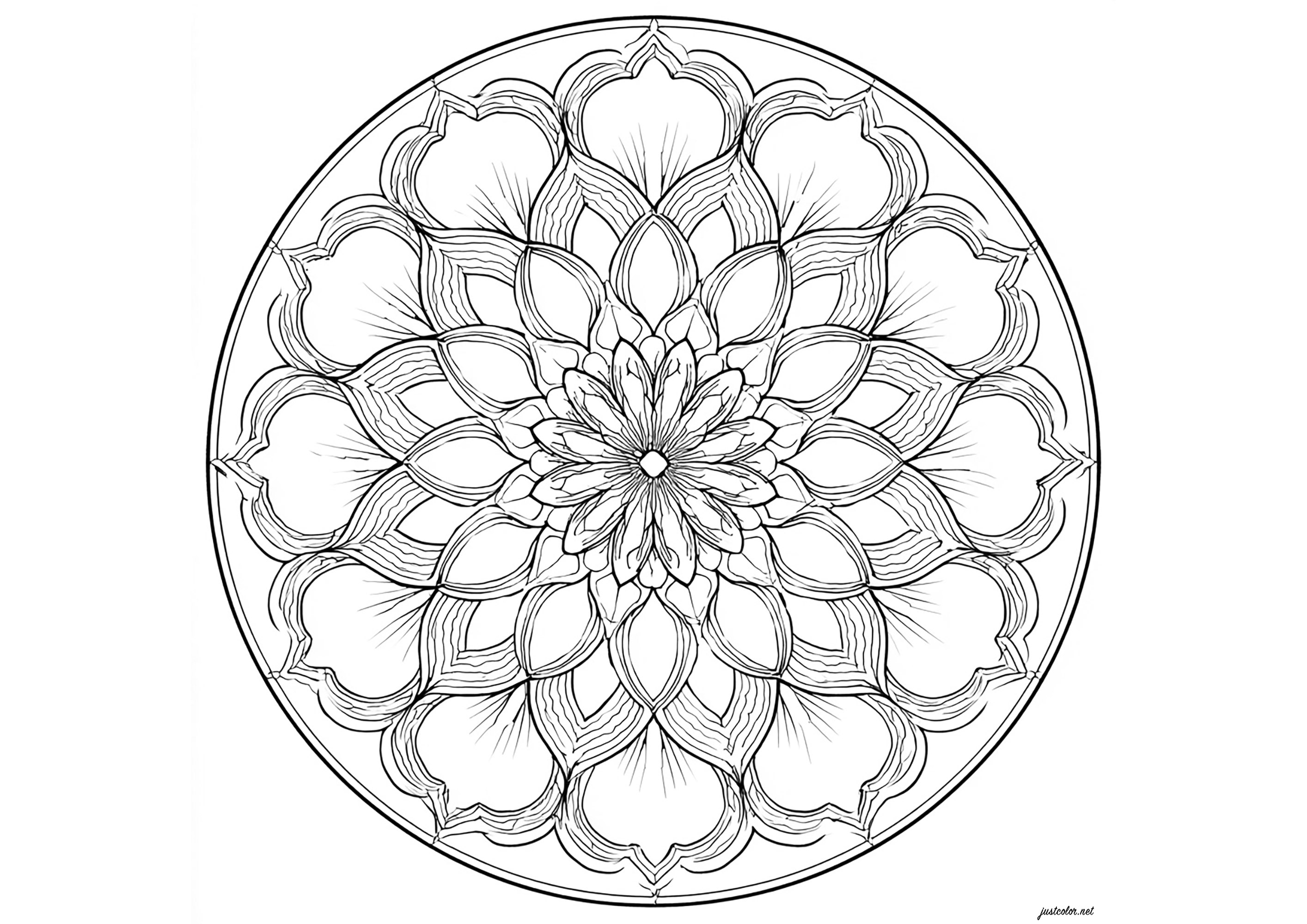 Mandala Bonita com pétalas grandes (Página para colorir e imprimir para adultos)