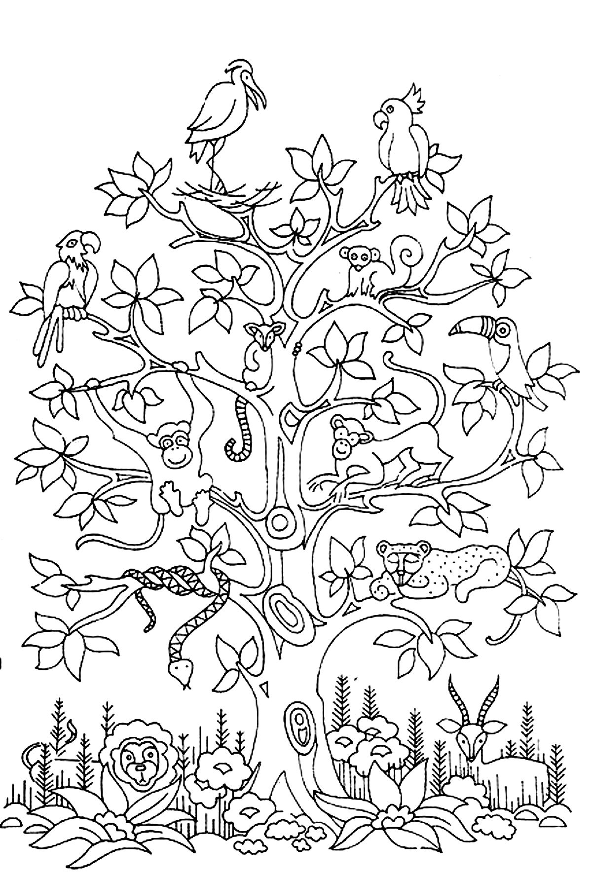 Árvore com pássaros, cobras e macacos. Colorir esta bela árvore e os animais que lhe chamam casa.