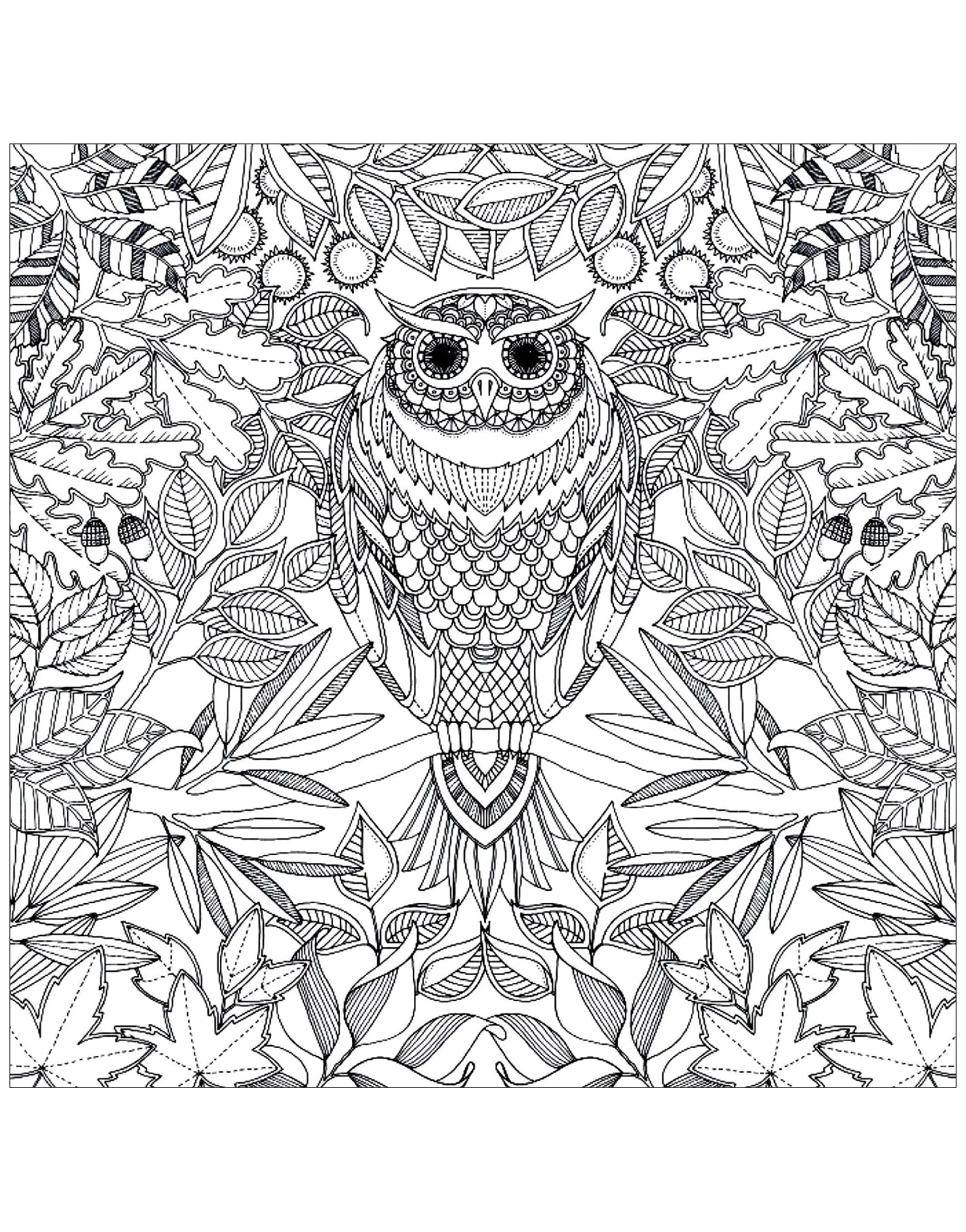 Desenhos para colorir gratuitos de Corujas para crianças
