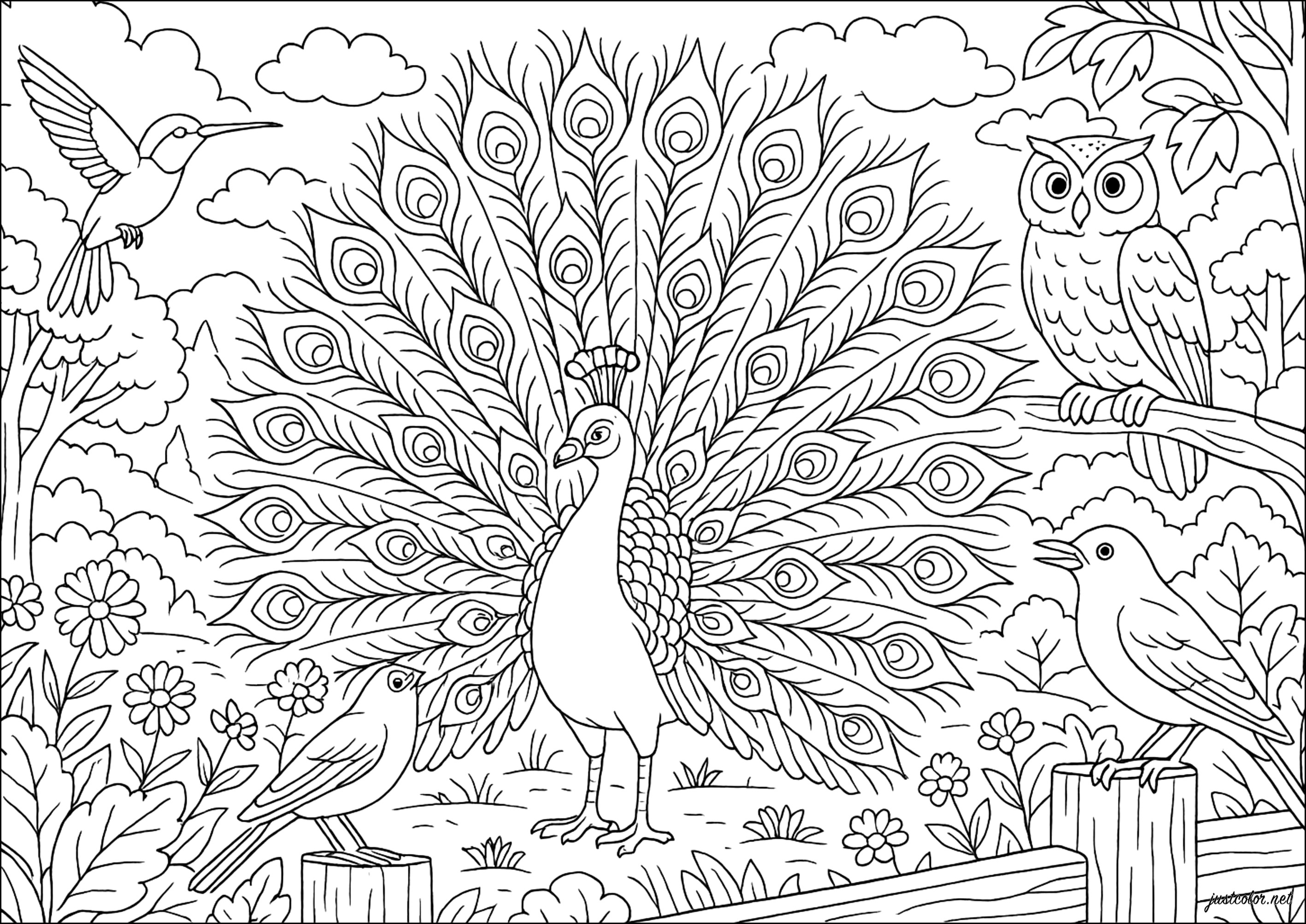 Majestosos pavões e seus companheiros alados (Página para colorir e imprimir para adultos)