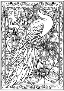 Página de Pavões para colorir e imprimir para adultos : Pavão numa bonita moldura
