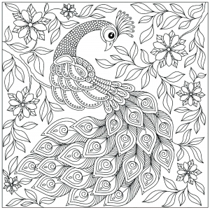 Página de Pavões para colorir e imprimir para adultos : Pavão entre as flores