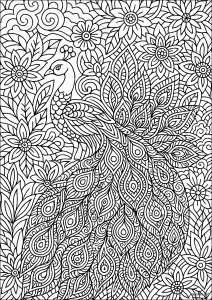 Majestoso Pavão em Zentangle (Página de Pavões para colorir)