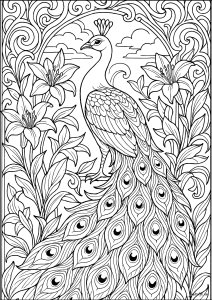Pavão lindo cercado por flores (Página de Pavões para colorir)