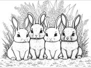 Páginas de Coelhos para colorir e imprimir para adultos