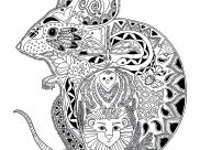 Mouses