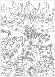 Selva e Floresta : Desenhos para colorir de Selva & Foresta para imprimir