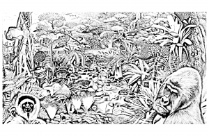 Desenhos para colorir de Selva & Foresta gratuitos para crianças