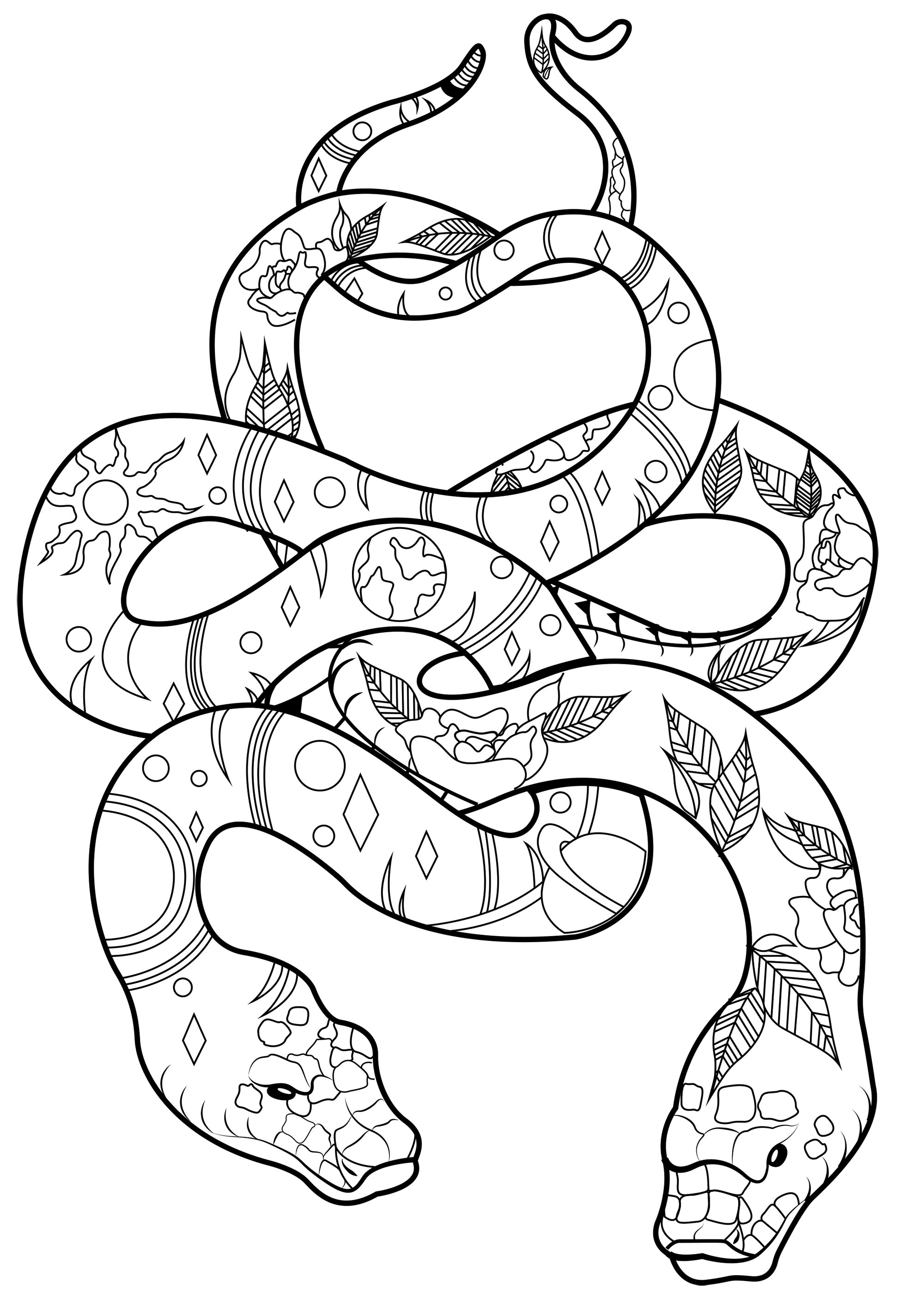 Duas cobras magníficas e elegantes, ligadas entre si e cheias de padrões fixes para colorir