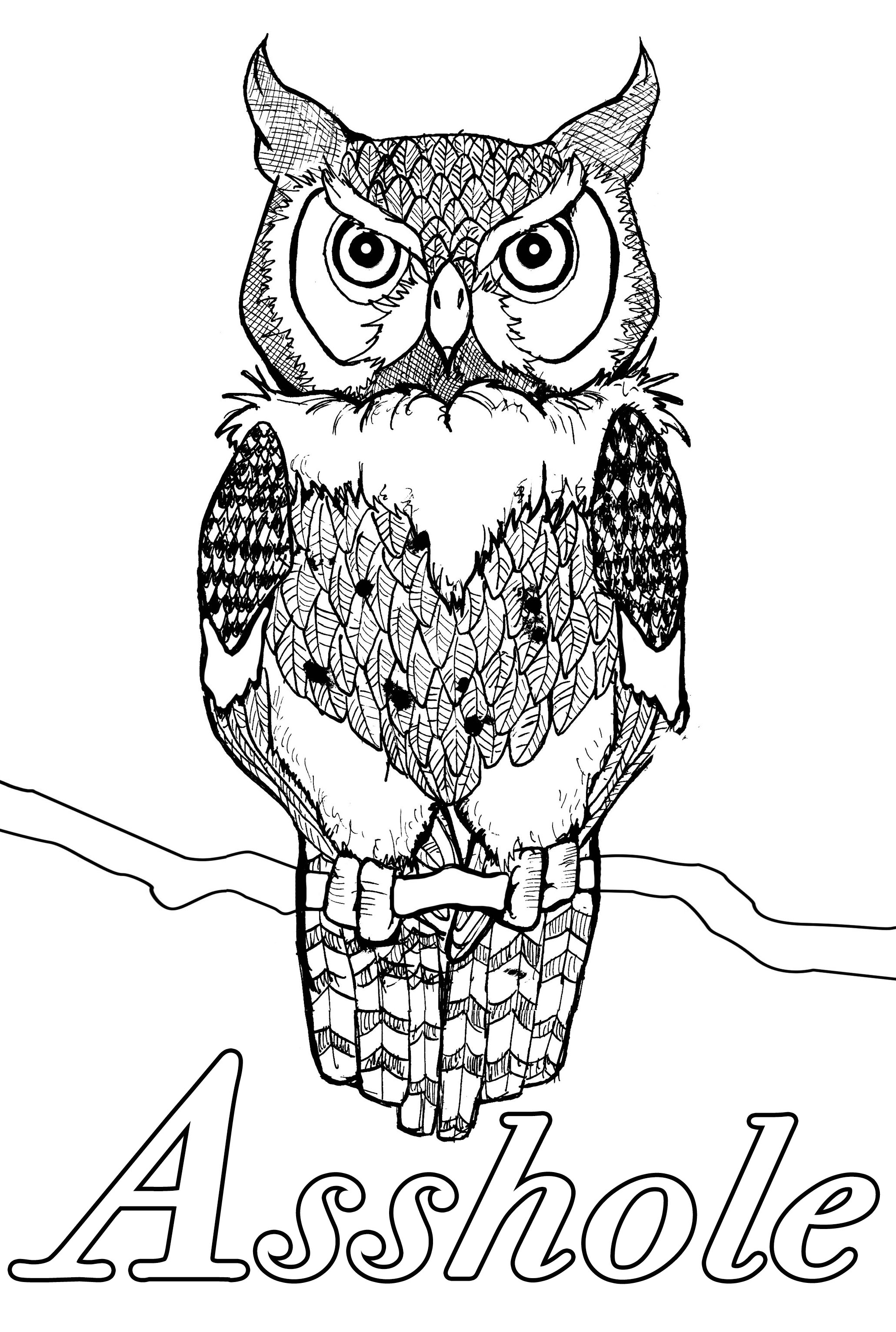 Cretino : Desenhos de palavrões para colorir com uma coruja com um ar sério