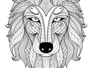 Páginas de Lobos para colorir e imprimir para adultos