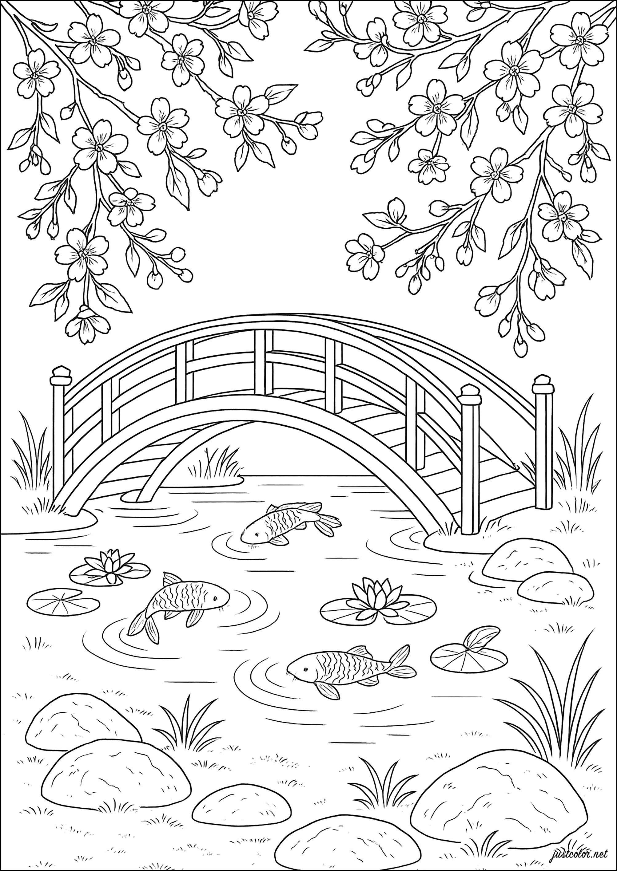 Ponte, flor de cerejeira japonesa e Carpesa Koï - Páginas de Jardins  maravilhosos para colorir, image size:2006x2834