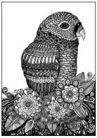 Desenhos para colorir de Zentangle para crianças