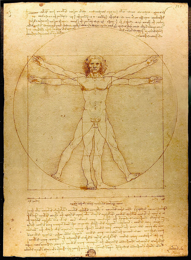 Homme de Vitruve (1490), Leonardo da Vinci (1452,1519)