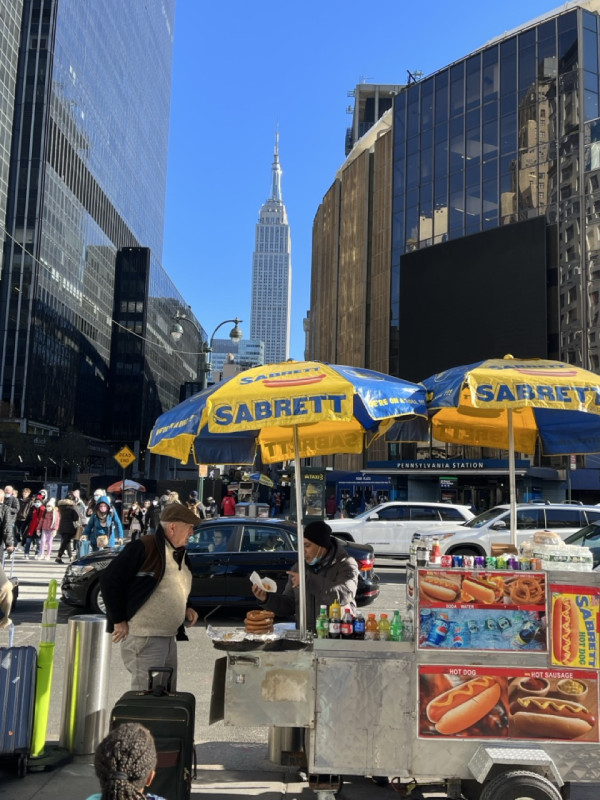 Hot dog vendor, New York City