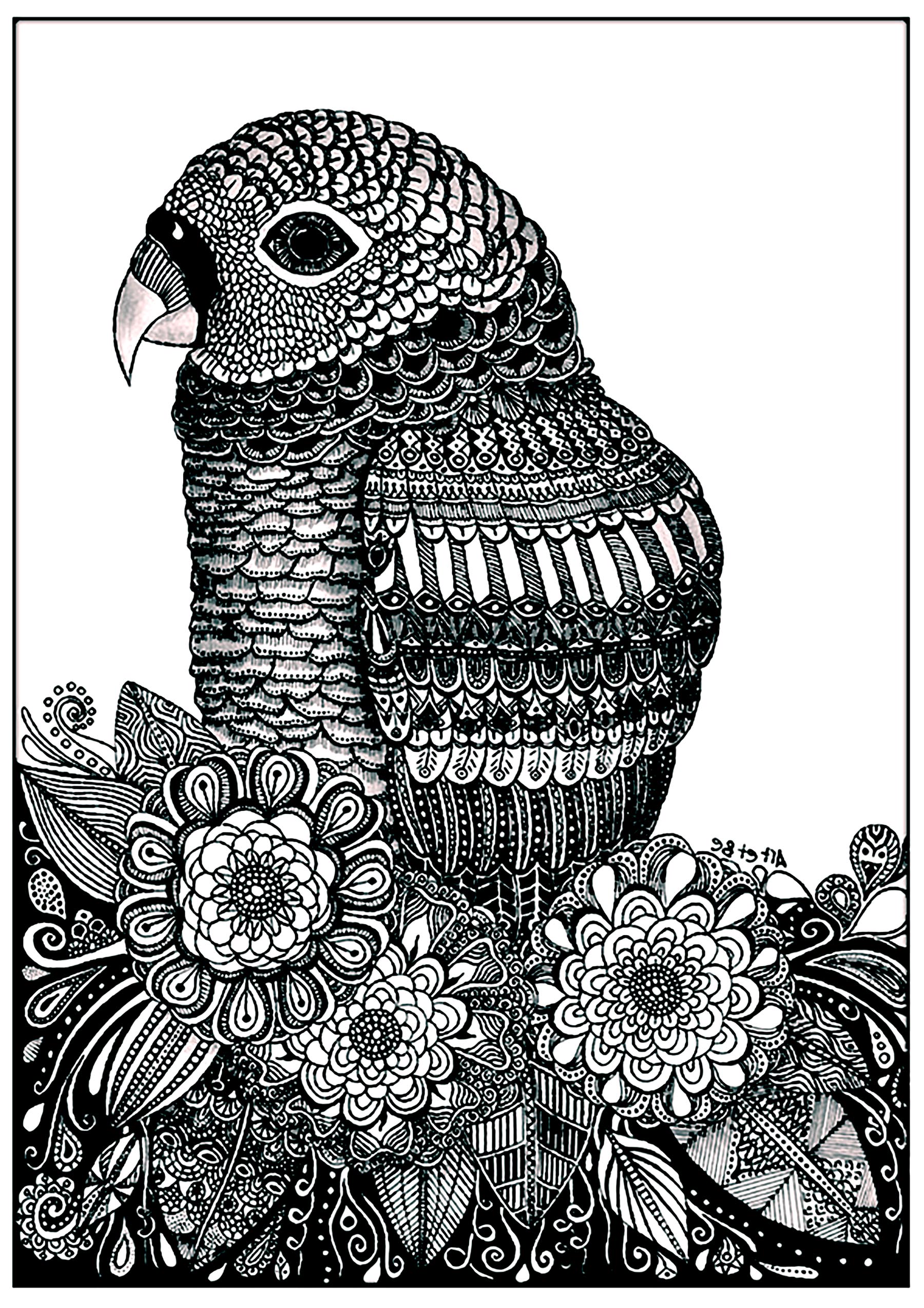 Parrot with flowers : a complex coloring page