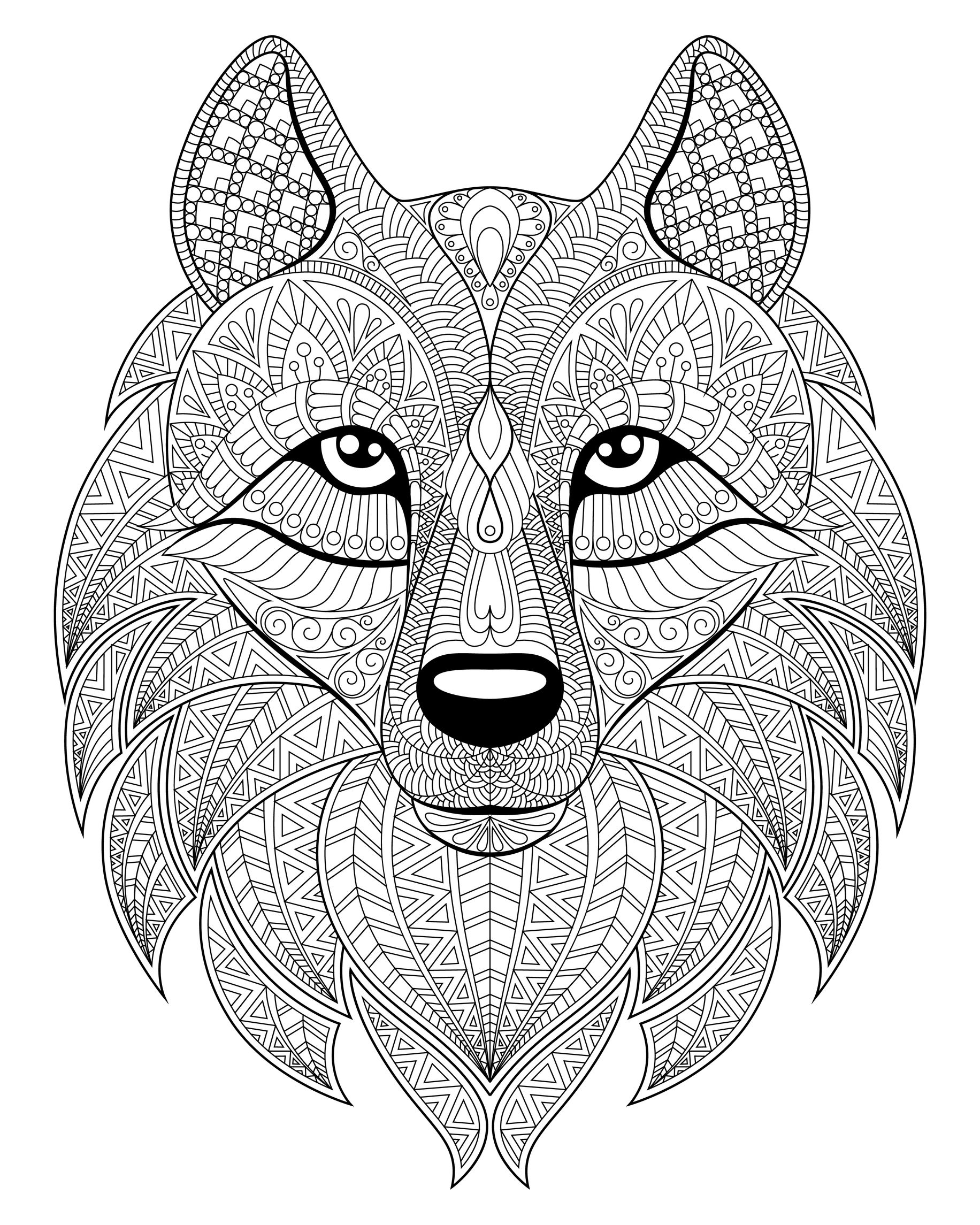 Wolf head, with complex patterns, Artist : alka5051   Source : 123rf