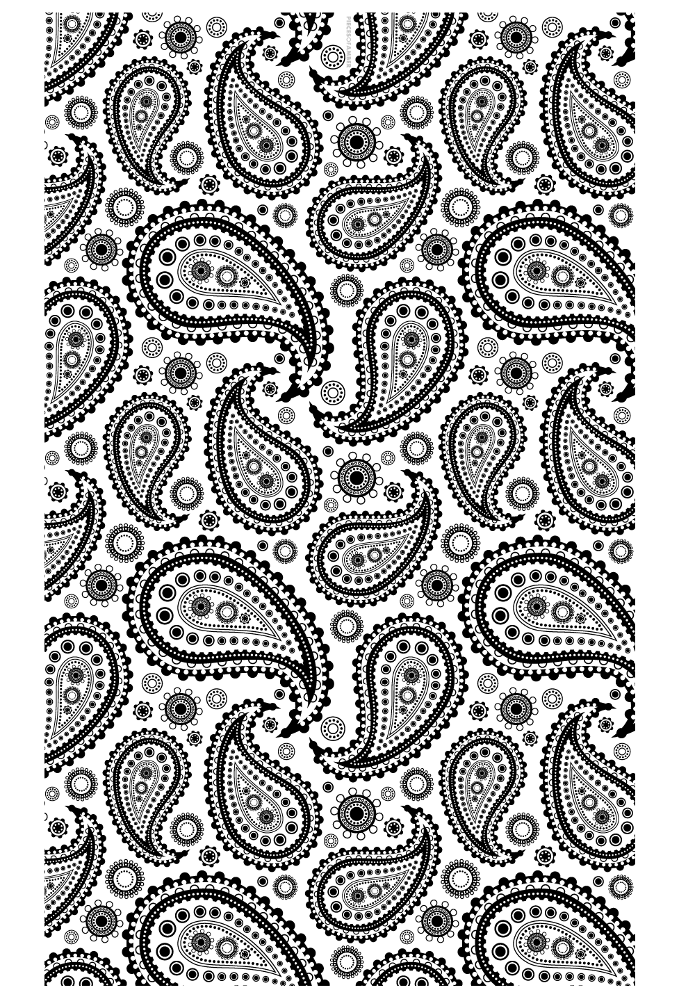 Color these Paisley patterns, drawn with different kind of details.