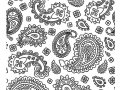 Coloring adult patterns paisley 5