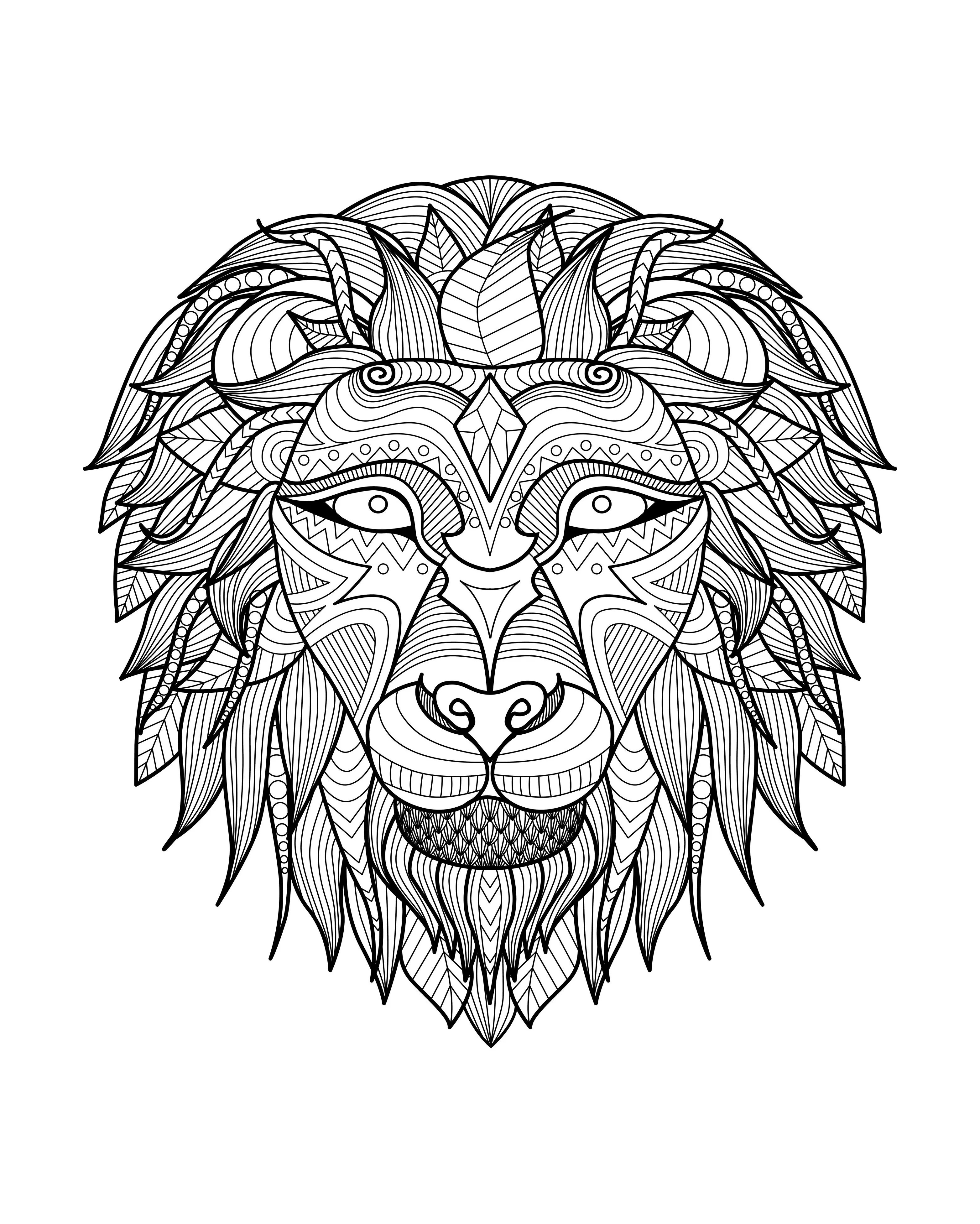 Africa lion head - 2 (Printable Coloring Page for adults)