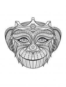 Coloring adult africa monkey head