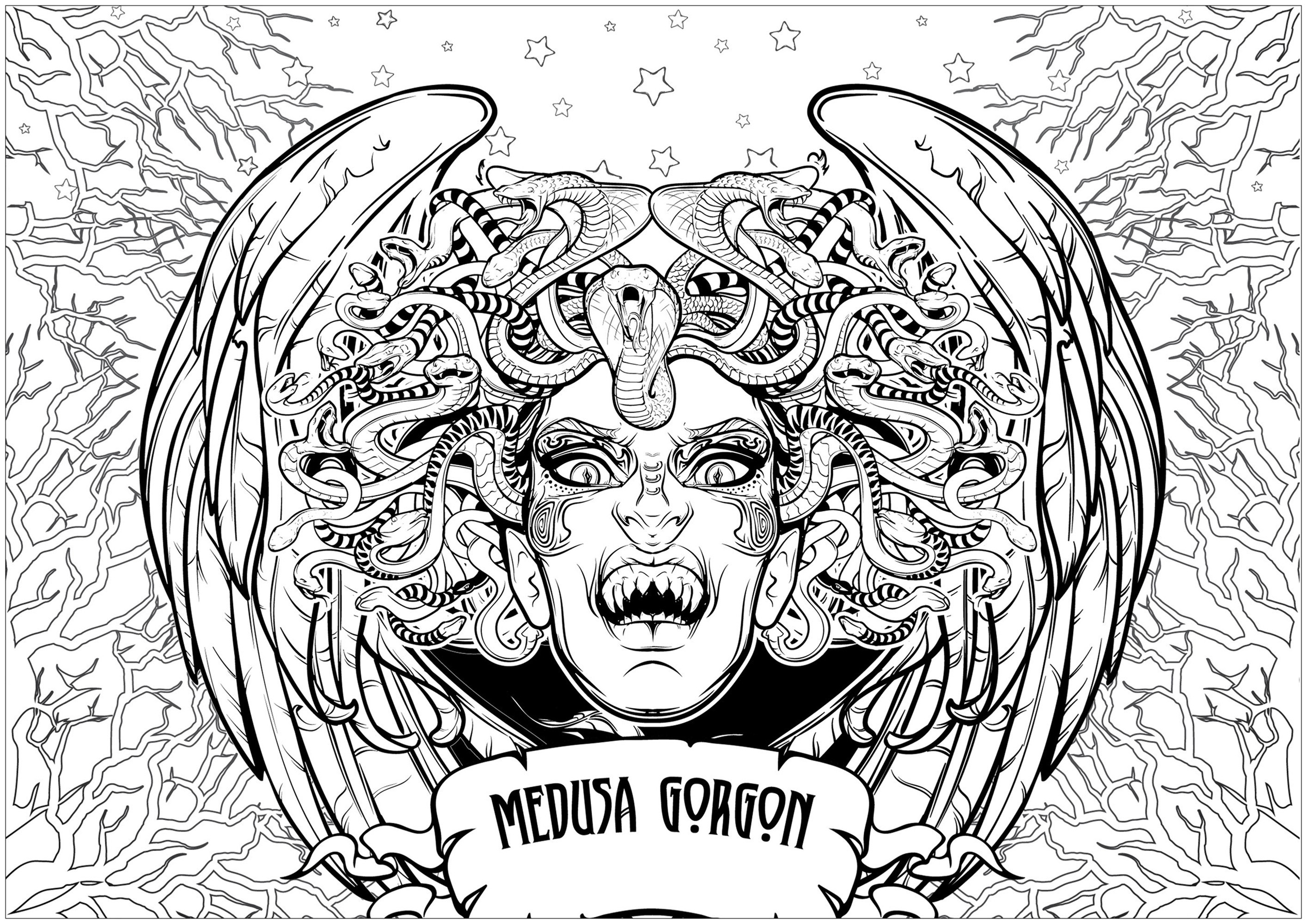 Scary coloring pages of Medusa (or Medusa) Gorgon. In Greek mythology, Medusa is one of the three Gorgons. She is the granddaughter of Gaia (the Earth) and Pontos (the sea flow). Although of divine blood, she is the only one of the three Gorgons to be mortal. She is endowed with great beauty, which seduces the sea god Poseidon, Source : 123rf   Artist : Aenseidhe