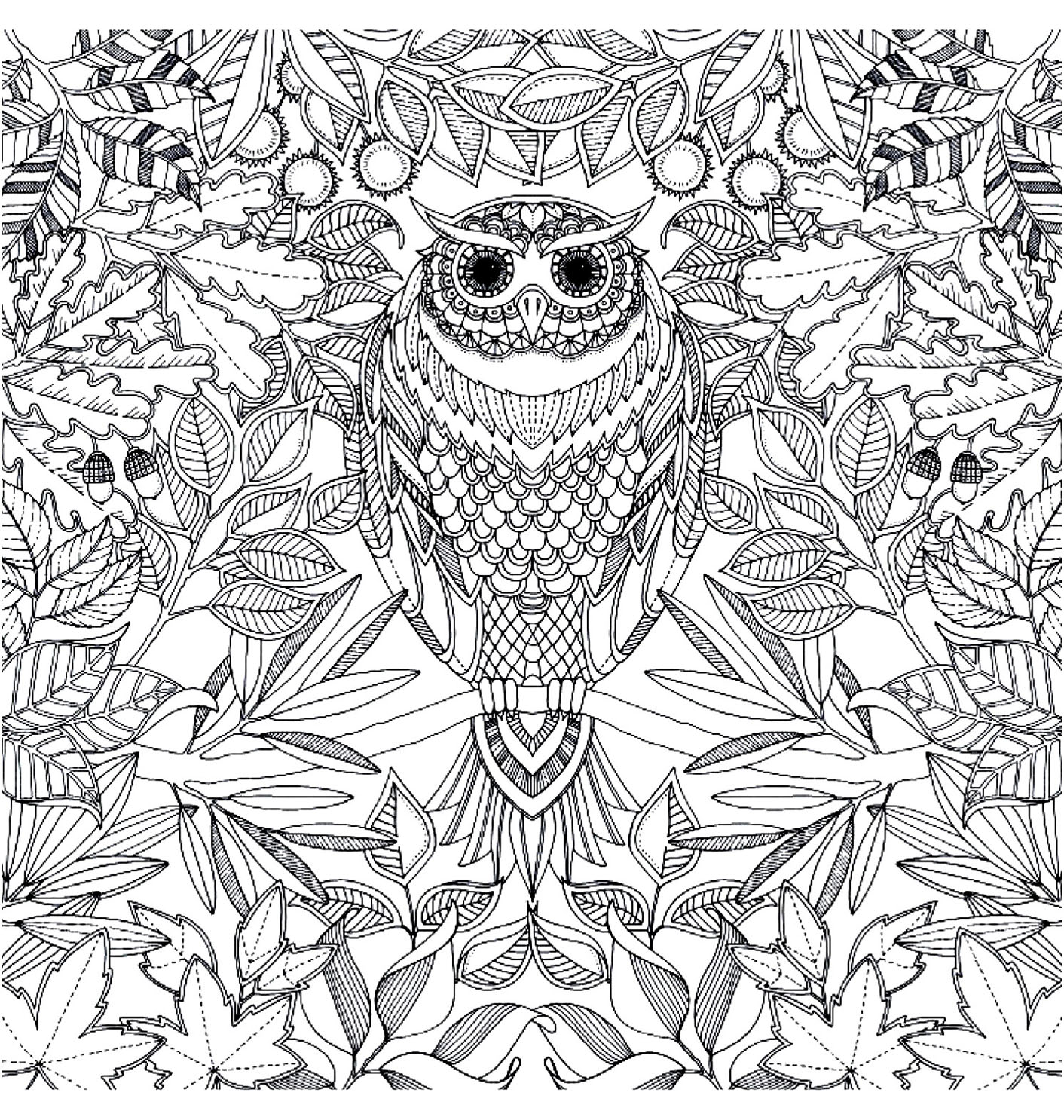 Owl with piercing look to print and color many plant elements in the background