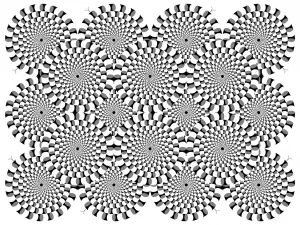 Zen Optical illusion