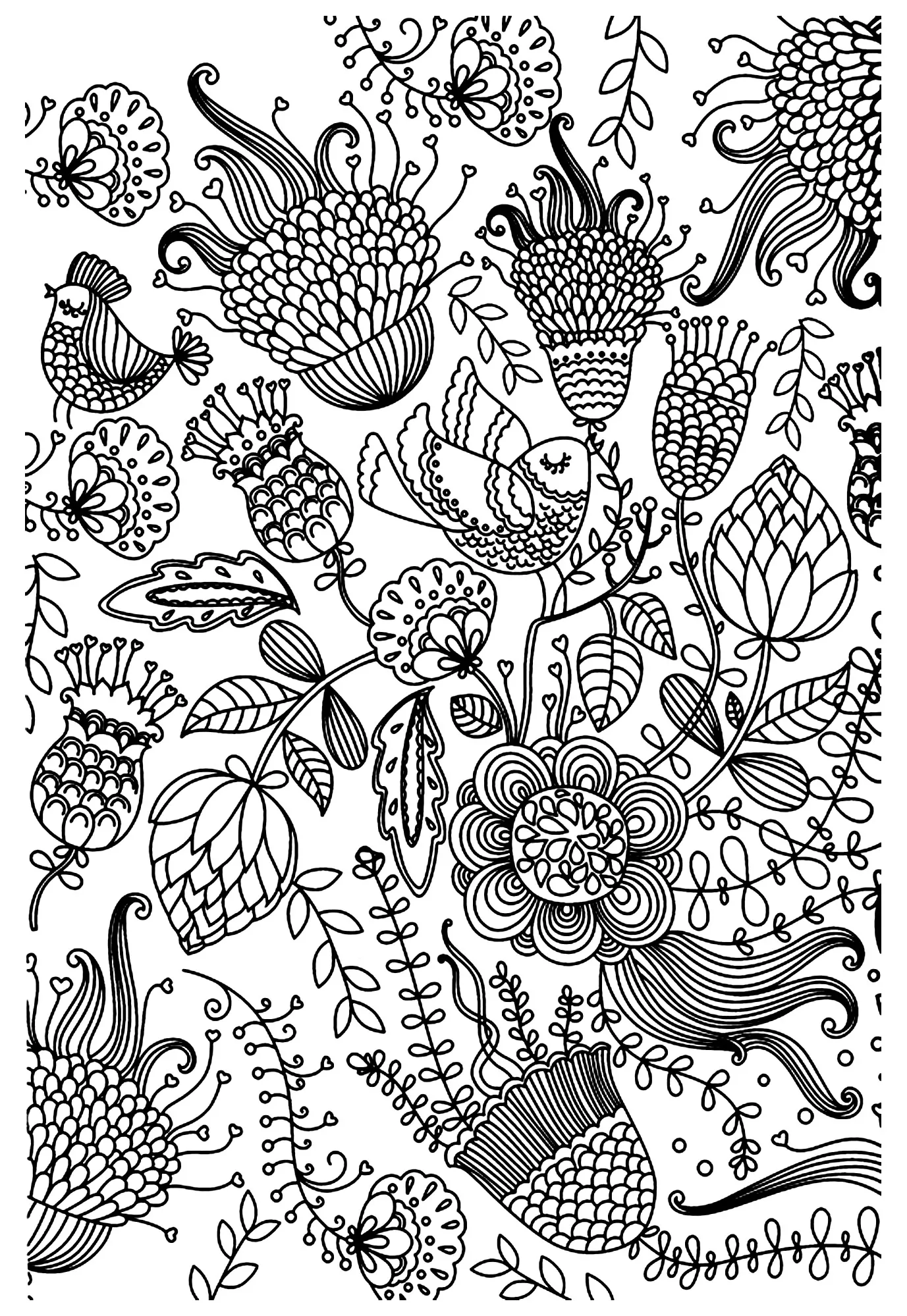 Antistress birds (Printable Anti-stress / Zen Coloring Page for adults)