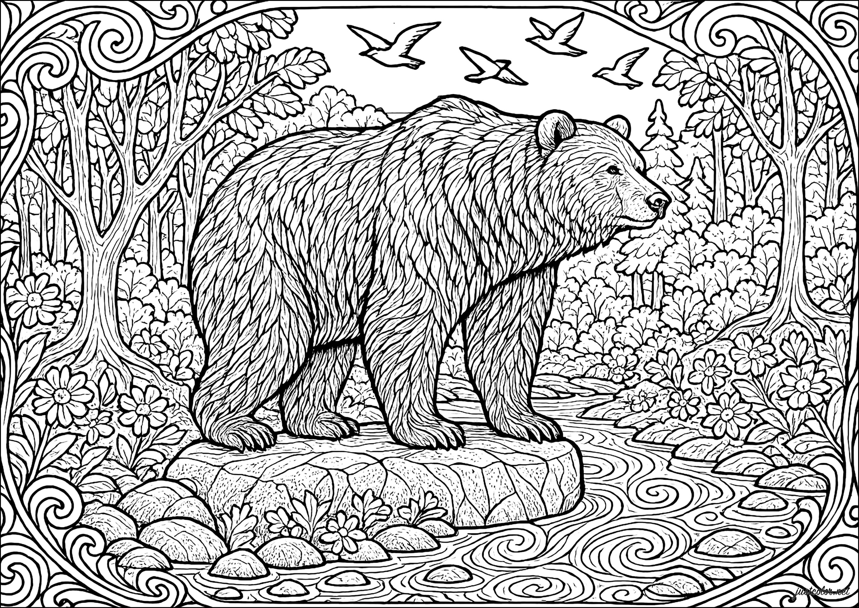 Majestic bear by the stream (Printable Coloring Page for adults)