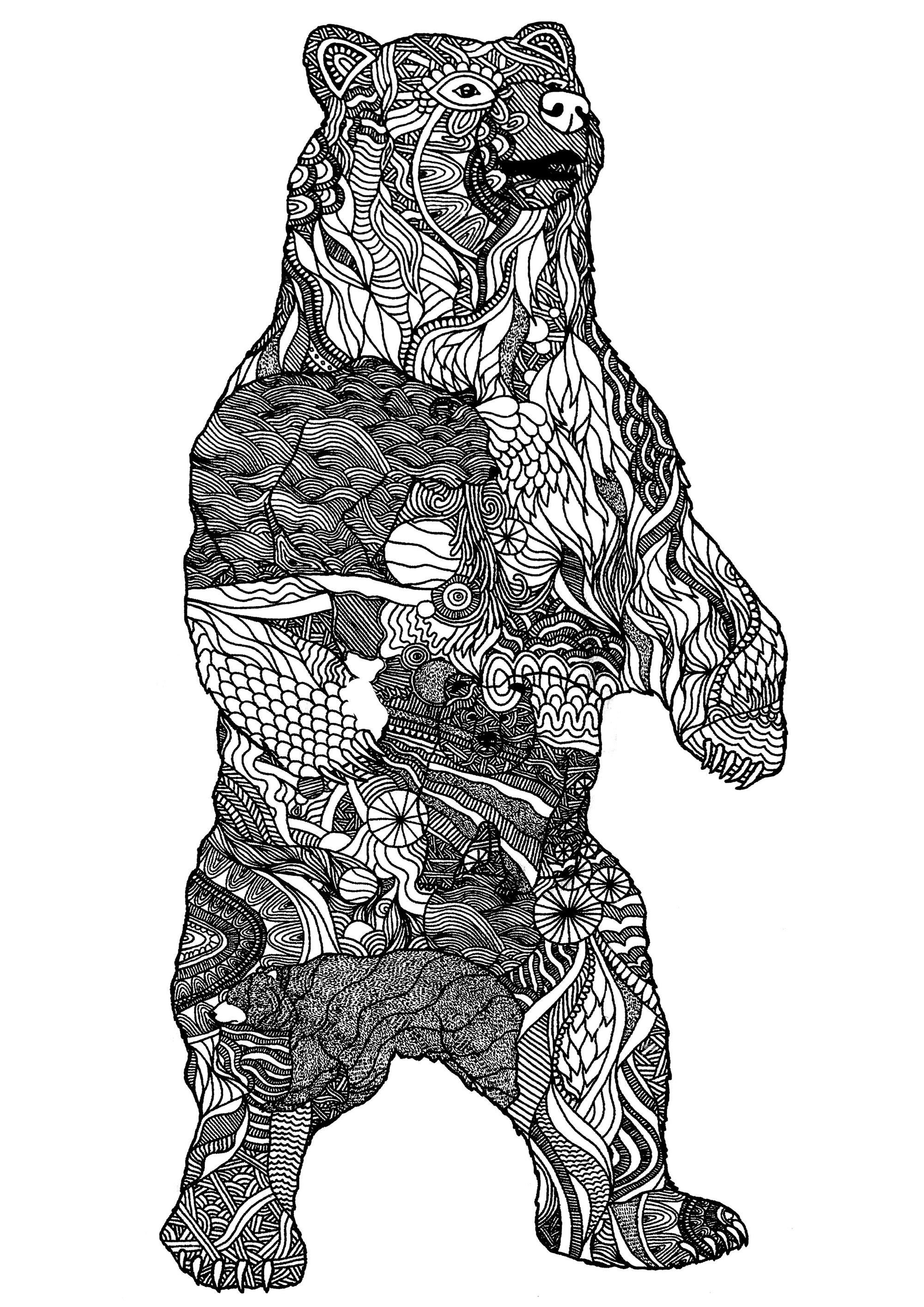 Big bear with Zentangle patterns, Artist : Art. Isabelle