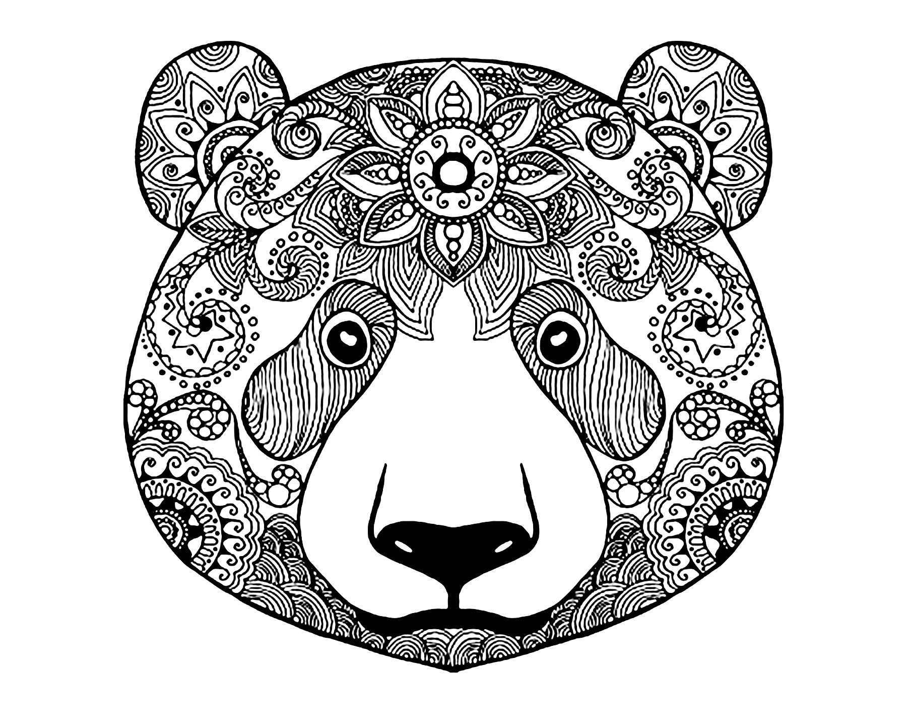 Bear head to print and color