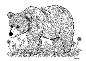 Printable Bears and Cubs complex coloring sheets for adults
