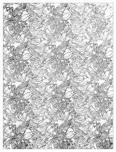 Plenty birds complex coloring