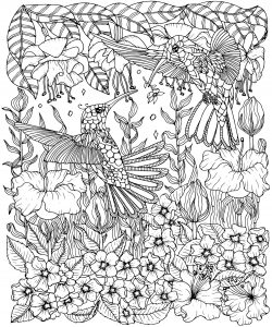 Hummingbirds and flowers coloring page