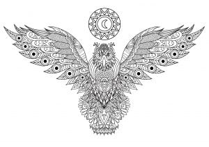 Incredible Eagle