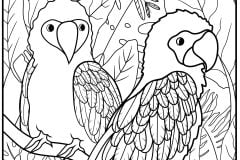 Printable Birds coloring sheets for adults