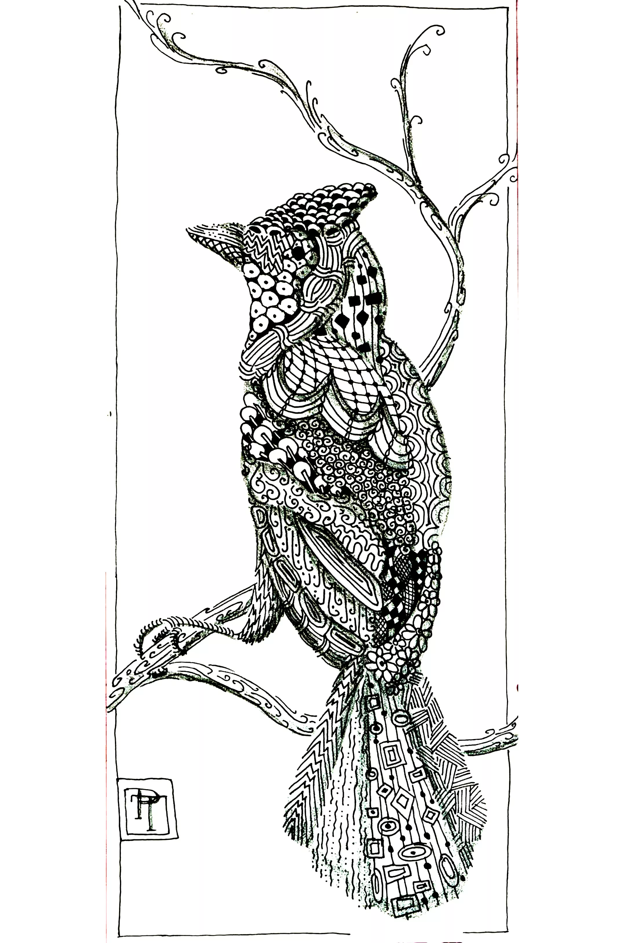 Bird patterns (Printable Coloring Page for adults)