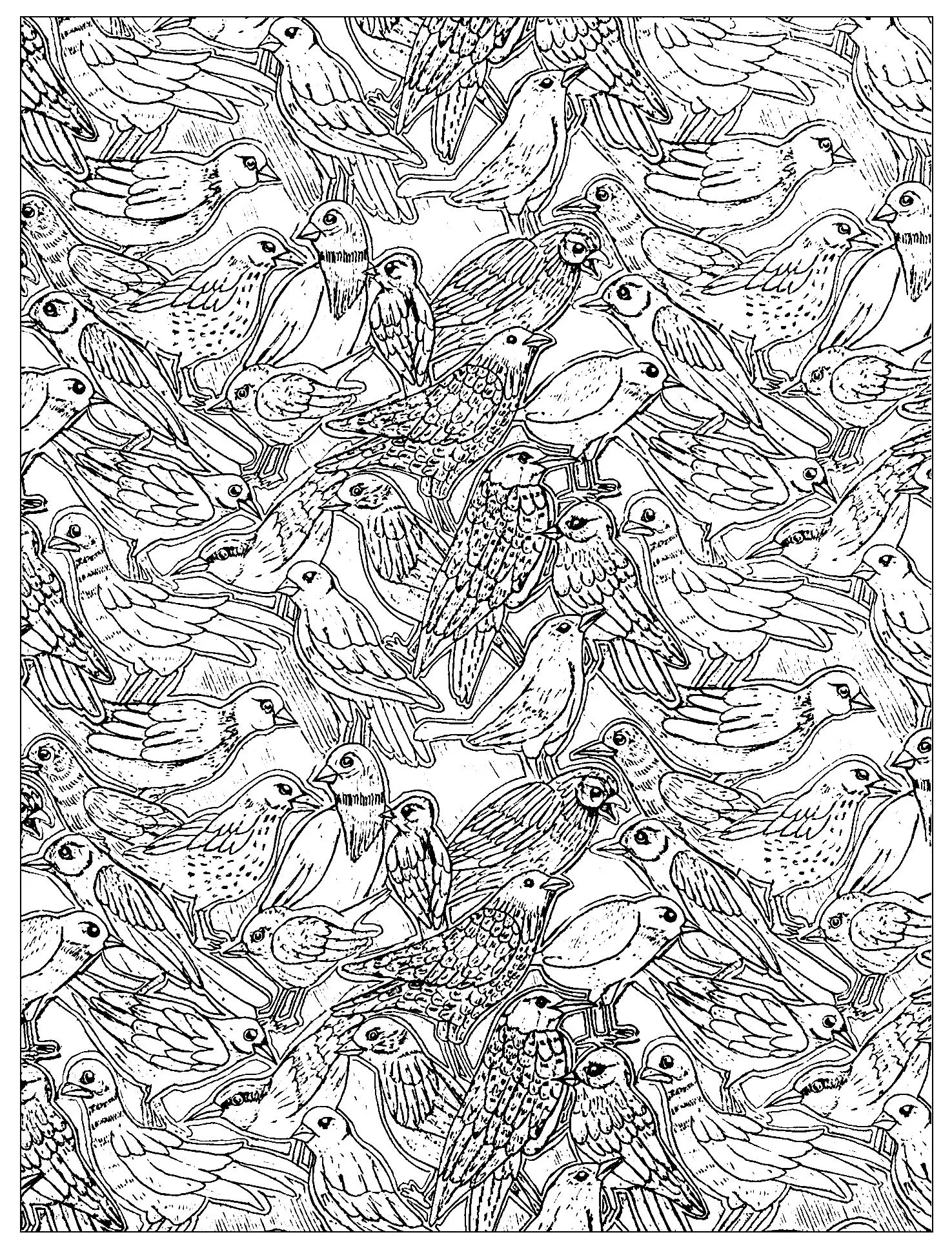 Birds - 2 (Printable Coloring Page for adults)