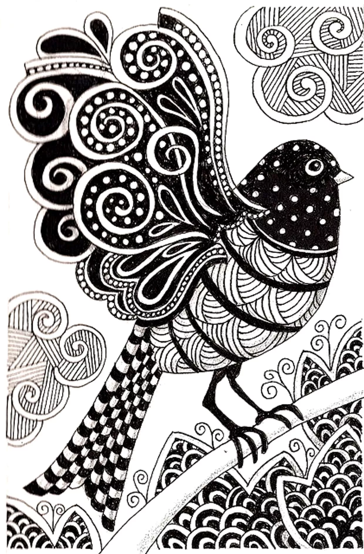 Dark bird (Printable Coloring Page for adults)
