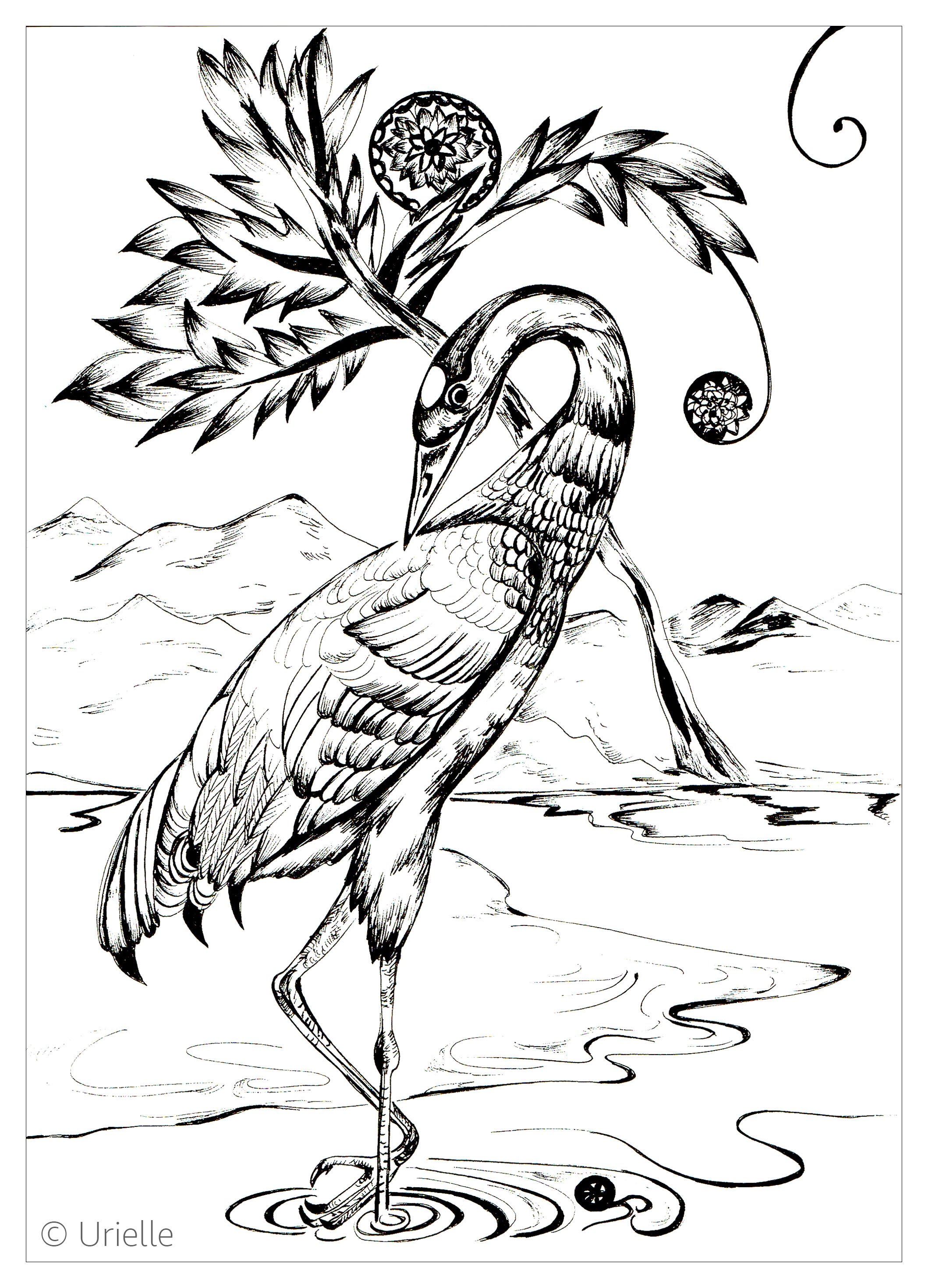 Heron