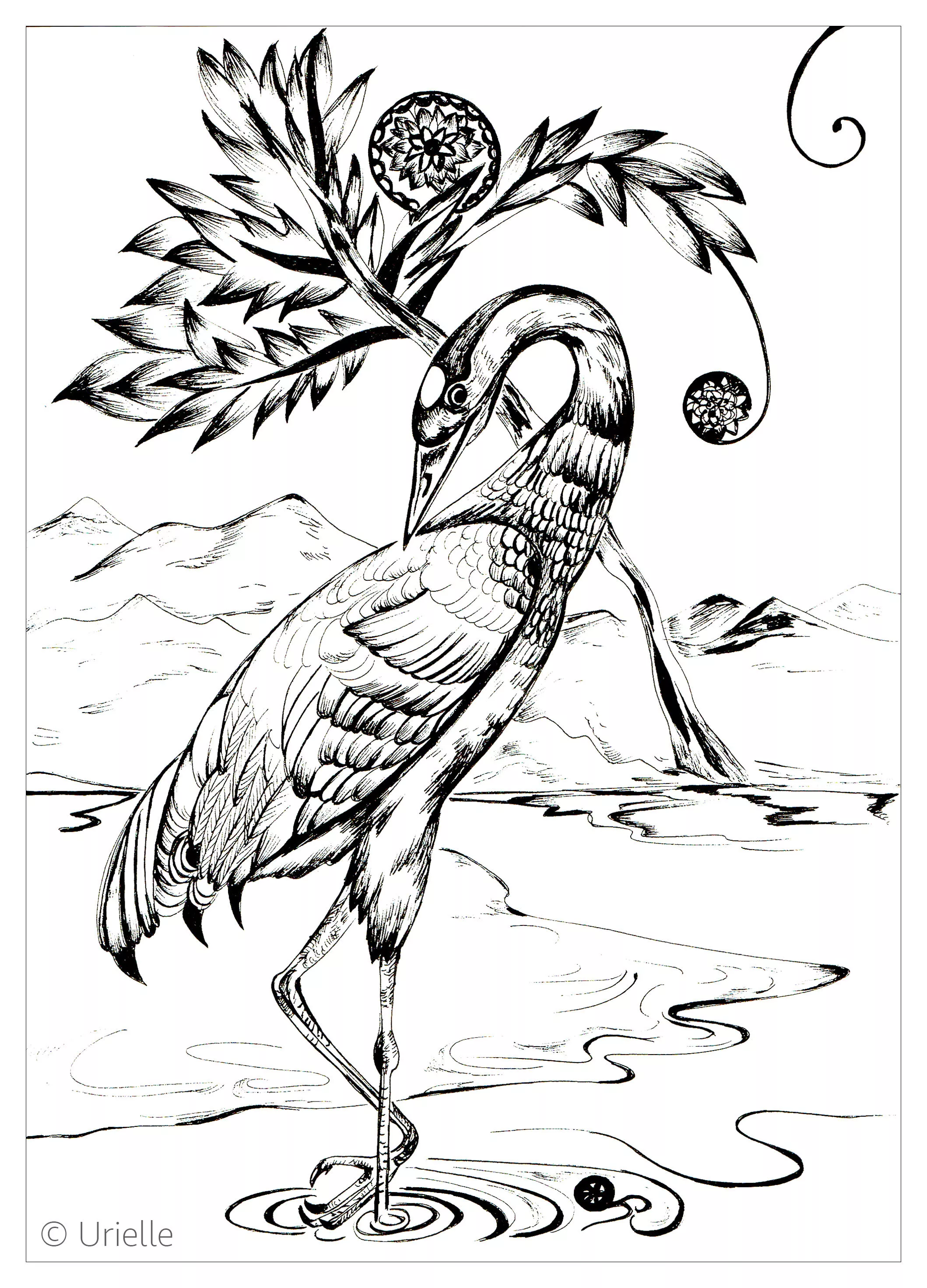 Heron (Printable Bird Coloring Page for adults)
