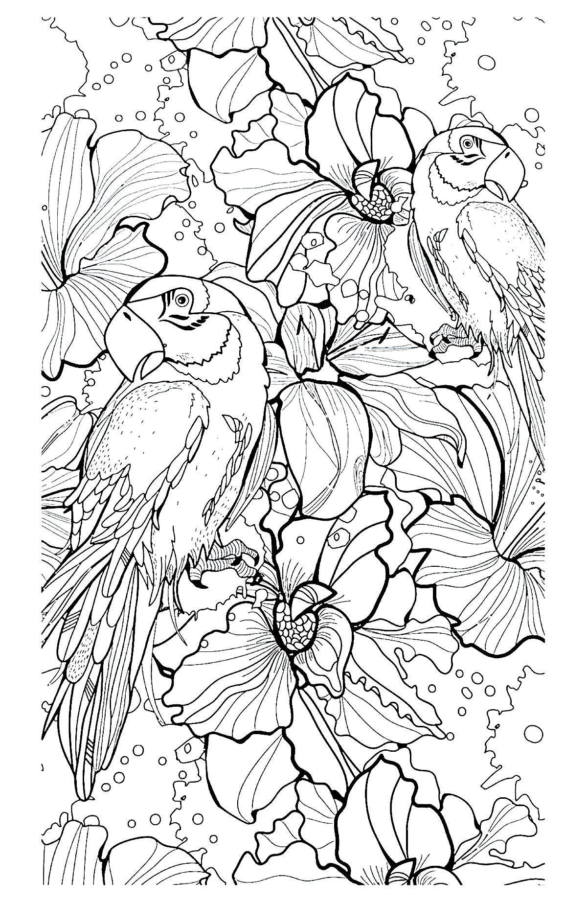 Complex coloring page of parrots