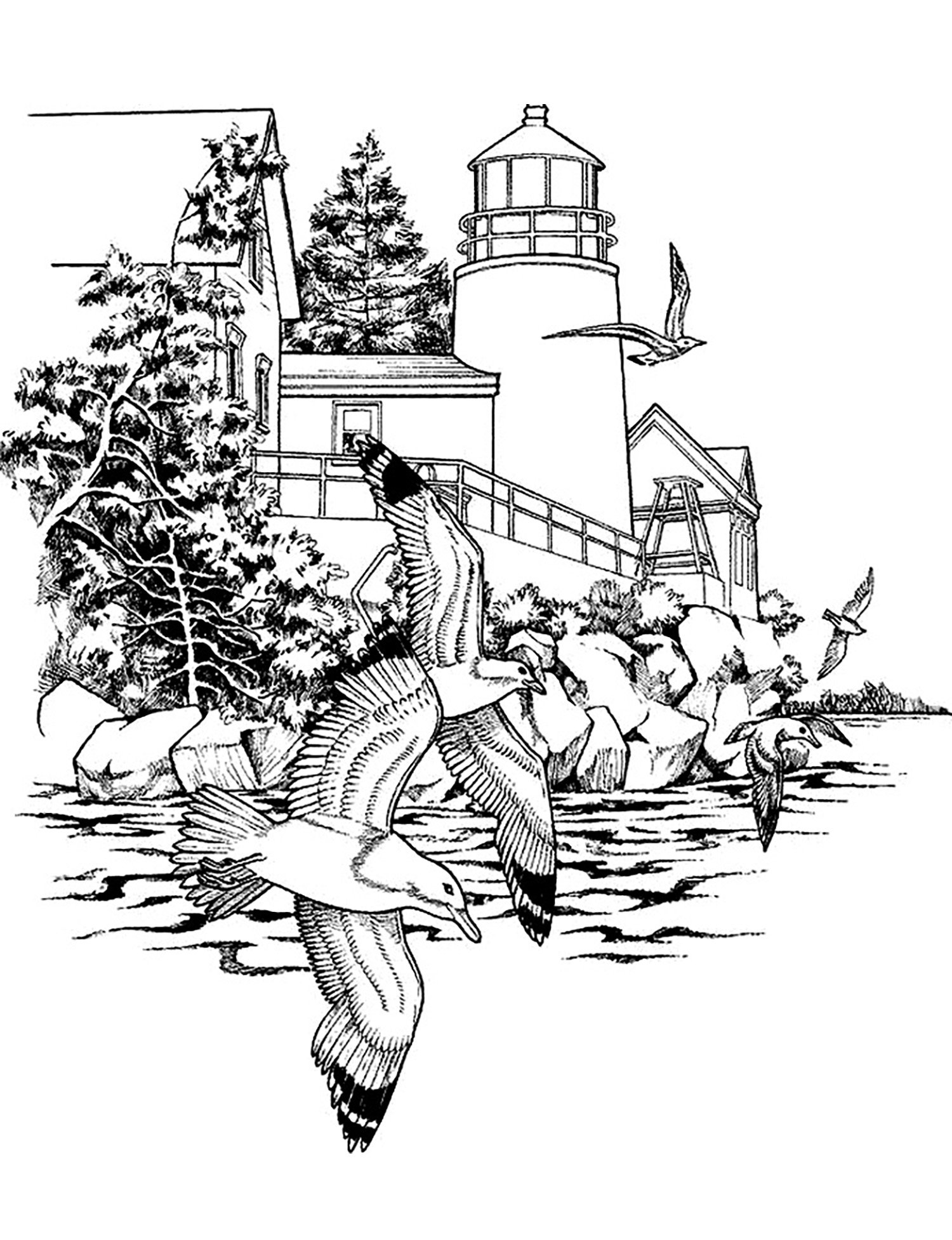A gorgeous black & white drawing smelling the sea air, with seagulls in foreground, lighthouse and second. To color or even to paint!